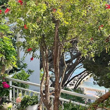 Beachfront Romilda * Makarska