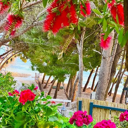 Apartment Beachfront Romilda *